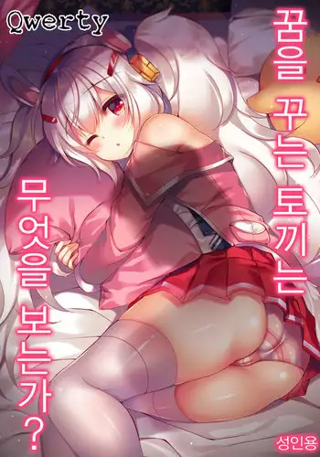 Yumemiru Usagi wa Nani o Miru?